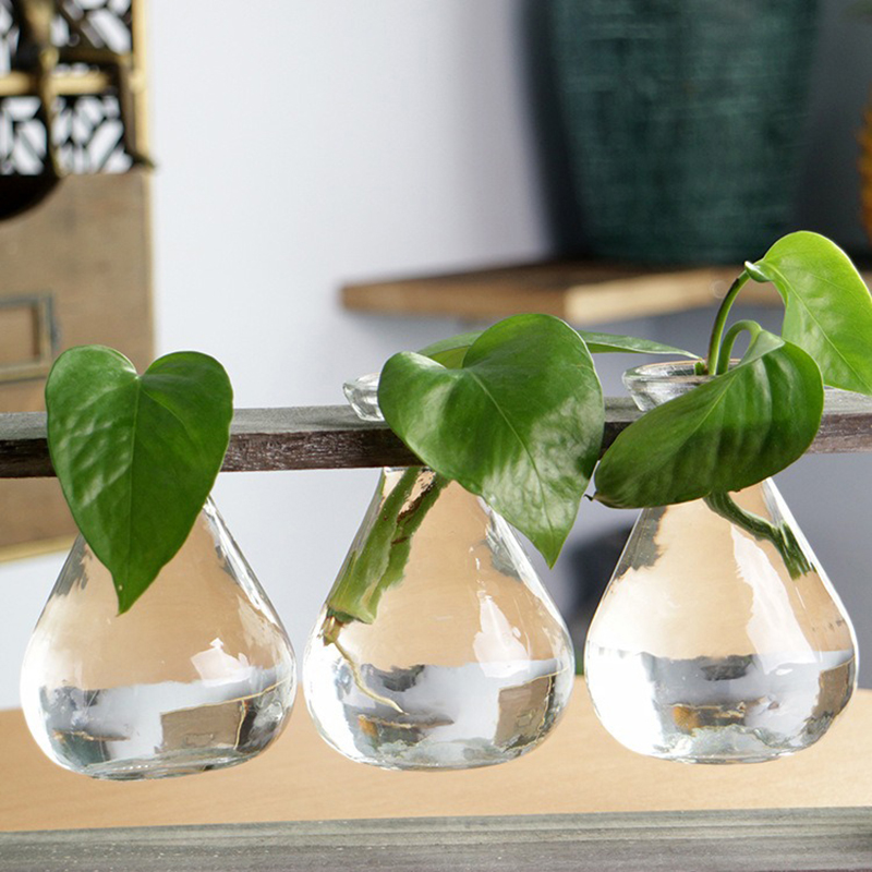 Find Wood and Glass Creative Hydroponic Living Room Decoration Flower Pot Plant Vase for Sale on Gipsybee.com with cryptocurrencies