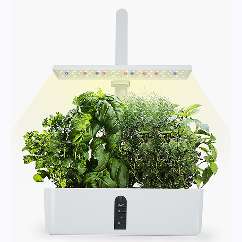 Find Full Spectrum Growing Lamp Panel Indoor Plant Greenhouse Hydroponic Plant Light Machine Vegetable Flower Hydroponic Planter for Sale on Gipsybee.com with cryptocurrencies