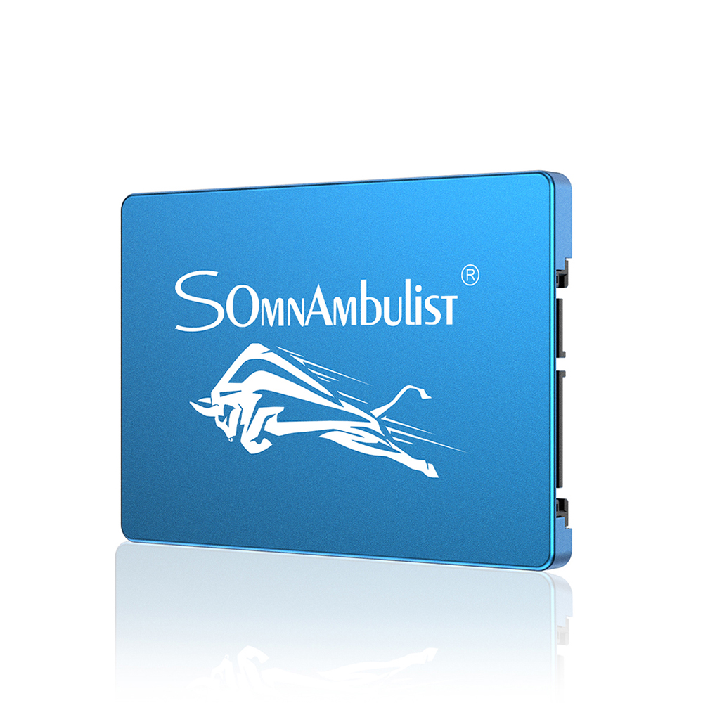 Find Somnambulist 2 5 inch SATA III SSD 120GB/256GB/512GB/2TB 3D NAND TLC Flash Solid State Drive Hard Disk for Laptop Desktop Computer Blue Bull Head for Sale on Gipsybee.com with cryptocurrencies