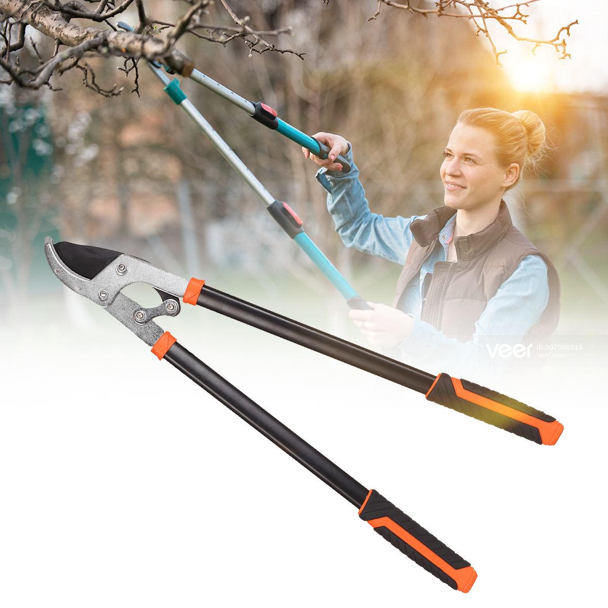Find Garden Tree Pruning Shears Scissors High Branch Pruning Tool Long Reach Fruit Picker Pruner Garden Tools for Sale on Gipsybee.com with cryptocurrencies