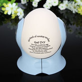 Damp Moisture Absorber Egg Dehumidifiers Dehumifiying Home Air Dryer
