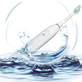 Escova de dentes elétrica Smart Sonic 5 modos USB recarregável IPX7 com cabeça de 3 Escova