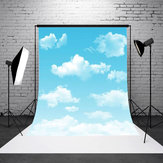 3x5FT 青空白雲バックドロップ スタジオ写真屋外写真背景