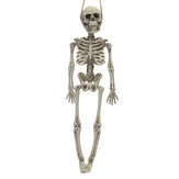 Halloween Party Home Decoratie Skelet Horrid Scare Scènesimulatie Menselijk Lichaams Speelgoed Rekwisieten
