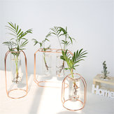 Portavasos de vidrio con línea metálica para decoraciones de plantas