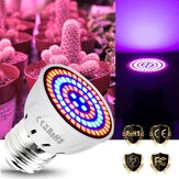 LED-Phyto-Lampen mit vollem Spektrum LED-Lampen für Keimlingen LED-Pflanzenzuchtlampe mit E14 E27 für Gewächshauspflanzung