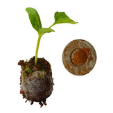 A Honana HG-GT10 az őszi talaj blokk peat tabletek magkezdő dugaszok kertészeti eszközök a magkezdő paletta