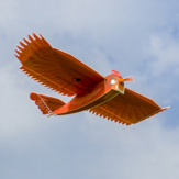Dancing Wings Hobby Nieuwe Biomimetische Noordelijke Kardinaal 1170mm Spanwijdte EPP Schuim Langzaam Vliegtuig RC-vliegtuigset / KIT + Motor
