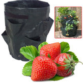 Jardineira de 8 bolsos para plantar morangos no jardim, varanda, cultivo de legumes, frutas e ervas