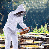 Professzionális pamut teljes testű méhészeti méhészeti ruhakészlet fátyol kapucnival L/XL/XXL