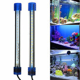 Barra luminosa LED impermeabile per acquario, luce subacquea per pesce in lampada per acquario tropicale, prodotto 2.5W 20CM