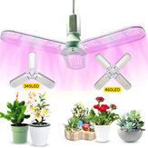 Luminária LED de cultivo indoor de espectro completo 345/460 para plantas hidropônicas