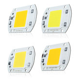 40 X 60MM 30W 2600LM teplé/bílé DIY COB LED čipová žárovka perla pro záplavové světlo AC110/220V