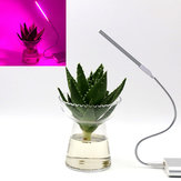 Lampada LED portatile USB per piante con 5V 2.5W, 10 luci rosse e 4 blu per casa, ufficio, giardino e serra