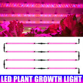 Lumière de culture LED de 30/50cm à spectre complet pour lampe de tube de plante pour la croissance de fleurs, légumes, plantes succulentes en serre intérieure hydroponique
