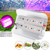 50W 100W Full Spectrum COB LED Grow Light Veg Plant Flower Flood Lamp voor gebruik binnenshuis AC220V