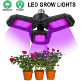 لوحة أضواء نمو النباتات LED بالكامل طيف E27 LED لمصباح البيت الخضراء بسعة 144 لمبة