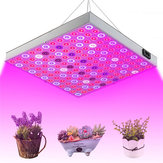 45W 144 LED Lâmpada de luz para crescimento de plantas de espectro completo para flores sementes estufa interna