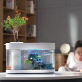 Geometría Fish Tank Aquaponics Ecosystem Small Water Garden Ecological Fish Tank Acuario Transparente Acuario de xiaomi youpin