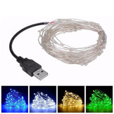 Cadena de luces de hadas de alambre de plata USB de 5M con 50 luces LED para decoración de bodas y fiestas navideñas