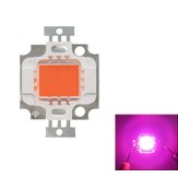 Full Spectrum 10W Roze LED Plant Grow Light Lamp Chip voor Tuin 9-12V