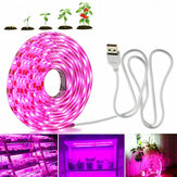 0.5 M / 1M/3M/5 M USB LED Grow Strip Licht Volledige Spectrum Indoor Plant Groeiende Lamp voor Tuin Groente Bloemzaden