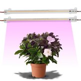 10PCS 30/50cm 7W LED Grow Light Full spectrum Transparent Shell Lamp For Indoor Plants Flower Hydroponics 220V