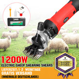 1200W Electric Heavy Duty Hair Clipper Equine Shears Trimmer Shaver Horse Sheep