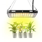 800W Tam Spektrum LED Bitkiler Işık Büyüyen 3500K/5500K Renk Sıcaklığı 50 LED Lamba Boncuk IP66 Su Geçirmez Sera Kapalı Bonsai Dikim için