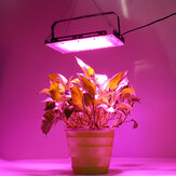 50W 100W LED Pflanzenlicht Vollspektrum Gewächshaus Indoor Pflanzen Gemüse Wachstumslampe