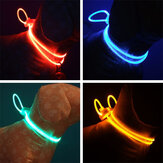Kleurrijke LED Halsband voor huisdieren met lichtgevende LED-verlichting voor honden en katten 's nachts