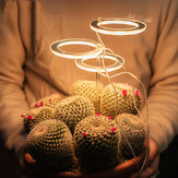 DC 5V Ring Pflanzenlicht USB Phytolampe Pflanzen LED Vollspektrum Lampe für Zimmerpflanzen Samen Anbau von Blumen Zuhause