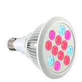 ARILUX® PL-GL 01 E27 12W / 24W LED Plant Grow Light Lamp Bulb for Hydroponics Garden Greenhouse Organic