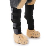 犬の後ろ足首ブレース−安全ギアリフレクティブストラップ付きの犬の後ろ足関節スリーブ