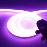 Tira de luz LED flexible de neón RGB de 220V 8*16 mm LED de 1/5/10M a prueba de agua Cinta LED 5050 Tubo flexible de neón IP65 Lámpara de cuerda multicolor para decoración navideña de bricolaje en el hogar
