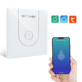 BlitzWolf® BW-SS10 3000W WiFi Smart Water Heater Switch Touch Glass Panel Time Schedule APP Remote Control Voice Control Works With Amazon Alexa and Google Assistant