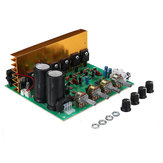 DX-2.1 Channel High Power Усилитель Board AC18~24V 100W+100W+120W