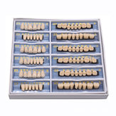 168 pezzi 6 set Dentale denti per protesi in resina acrilica modello tonalità inferiore superiore 23 A2