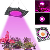 50W Full Spectrum LED ضوء النمو Veg Seed Greenhouse مصباح تبريد فائق الأداء AC110V/220V