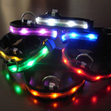 Collier de sécurité lumineux clignotant LED en nylon taille L pour chiens