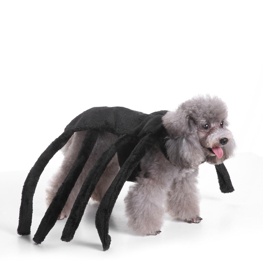 Pet Clothes Christmas Halloween Scared Black Widow Spider Harness