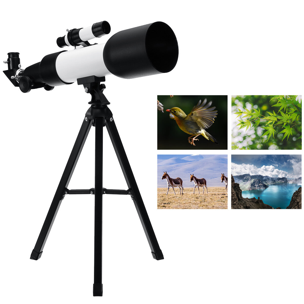 Разрешение F360/60 мм HD астрономического телескопа с 90° зеркалом для наблюдения за звездным небом с высоким увеличением и четким изображением на монокуляре с треногой.