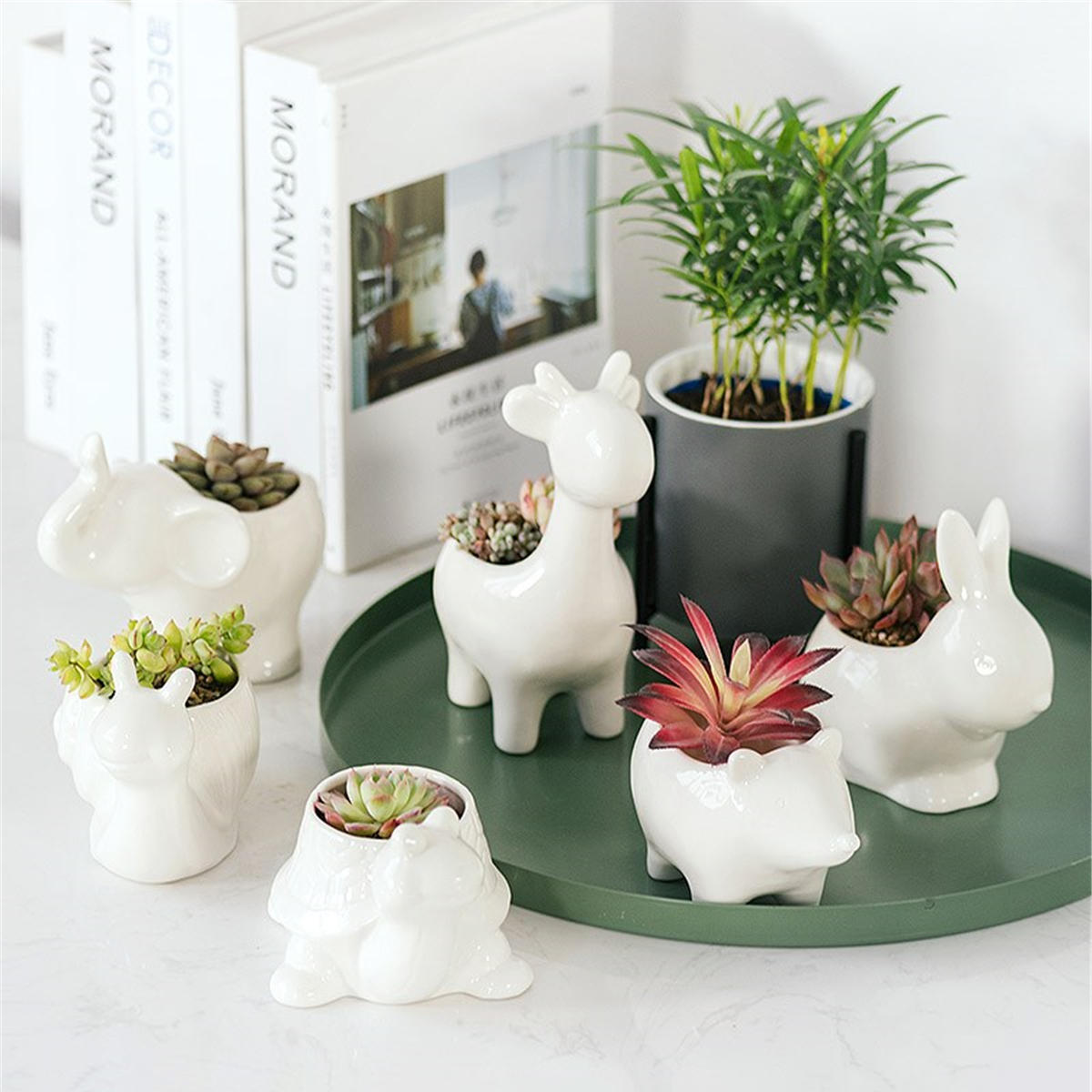 

Ceramic Succulent Plant Container Flower Pot Planter Holder Vase Animal Shape Decorations
