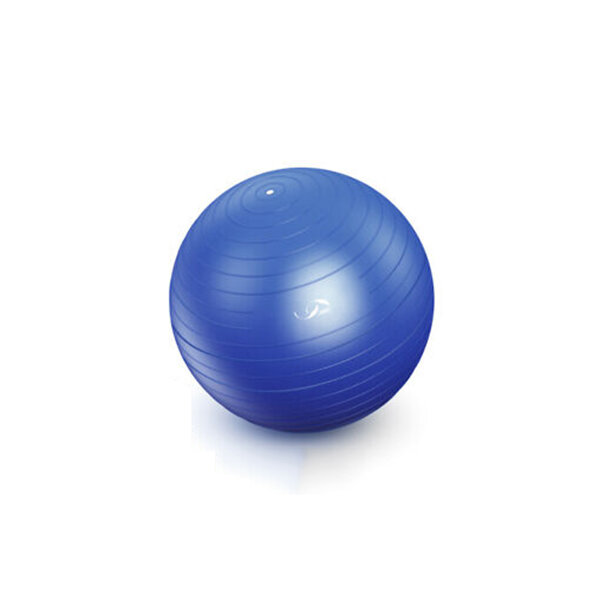 55 cm Pilates Yoga Bal Soft Bal Gym Fitness Core Oefengereedschap + Luchtpomp