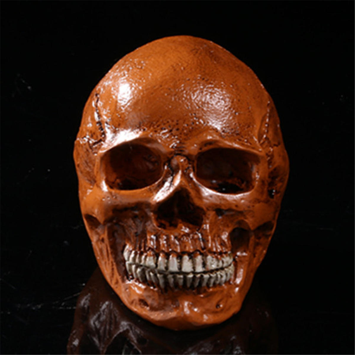 Halloween Schädel Menschenkopf Skulptur Skeleton Schädel Modell Resin Toy