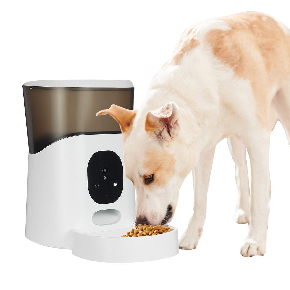5L Automatische Pet Feeder Timing Opname Spraak APP-bediening Intelligente Hondenvoer Kat Kommen Pup