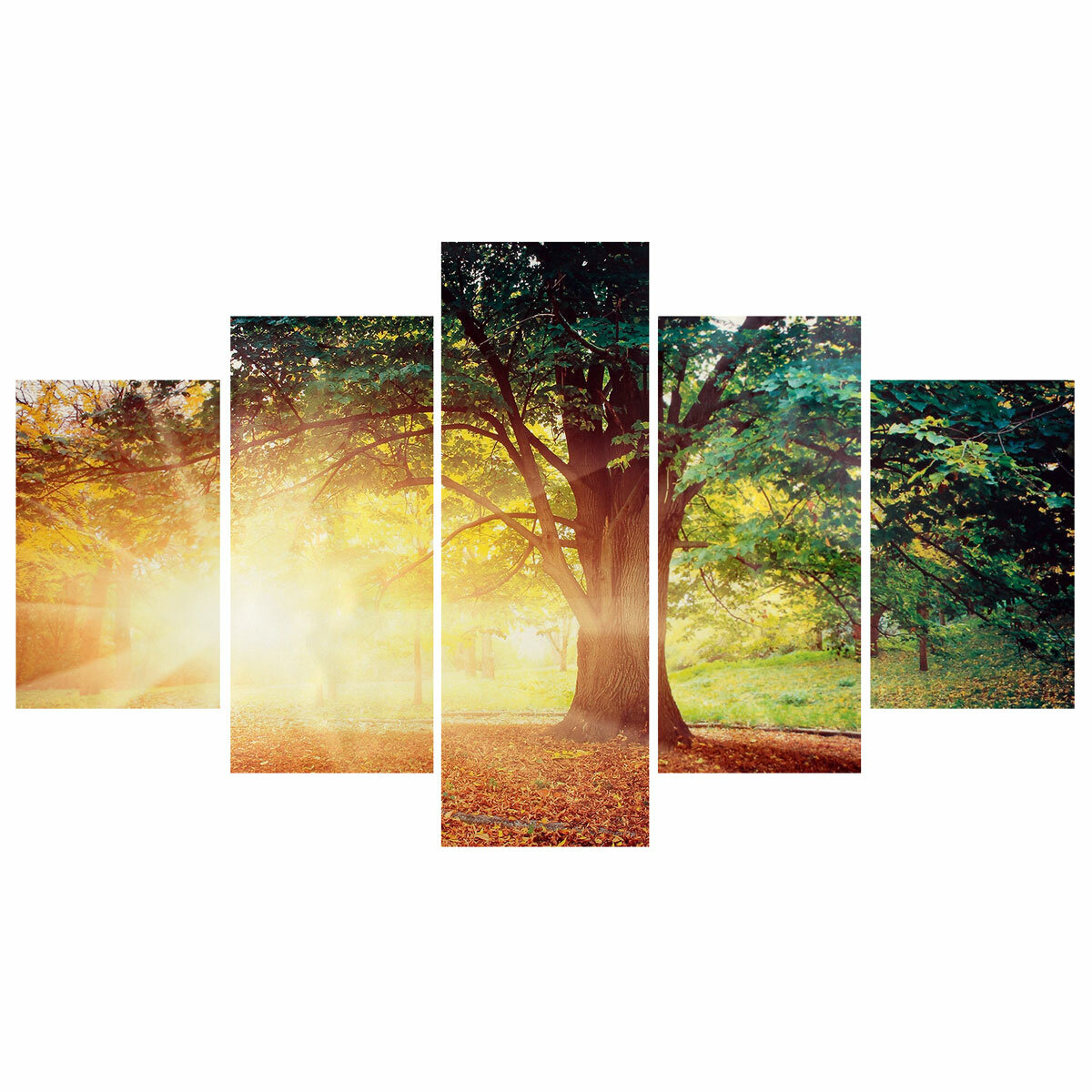 5 pcs wall decorative painting tree in the sun art pictures canvas ...