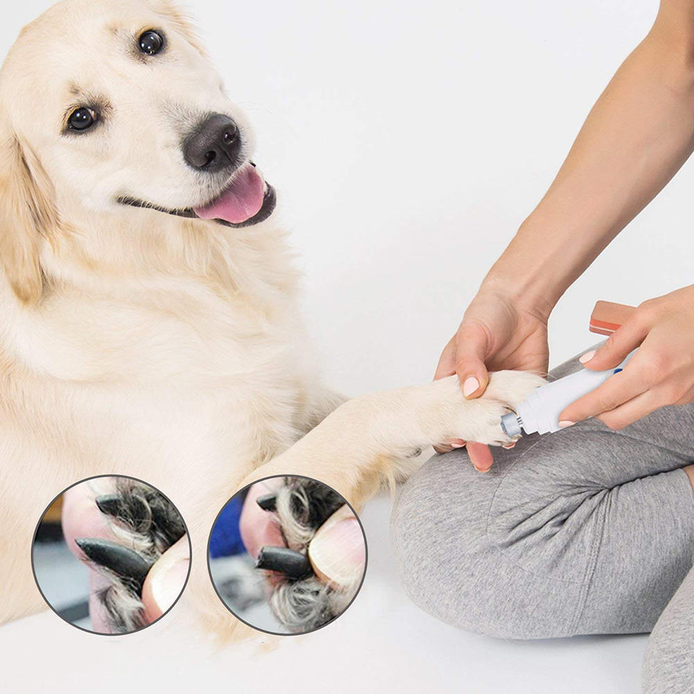 best electric dog nail trimmer