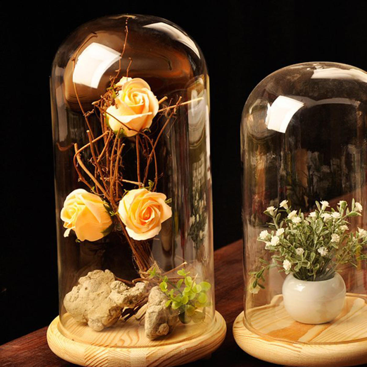 Decorative Clear Glass Cloche Bell Jar Display Flower Vase Micro Landscape D