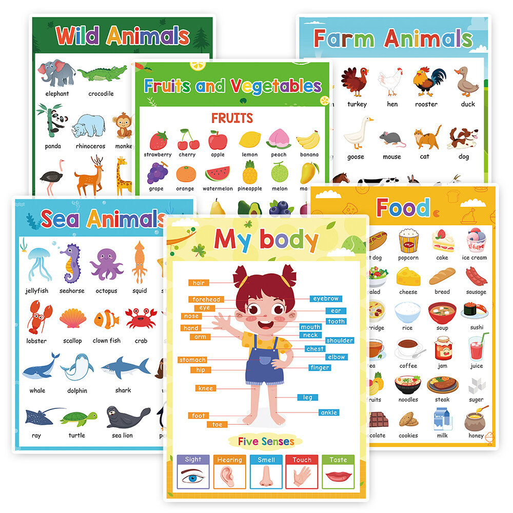 1pc A4 Body Regions Fruit Animal Food Wall Chart Talking Learning Poster  Best Educational Toy Toddler Kids English Poster Sale - Banggood  USA-arrival notice-arrival notice